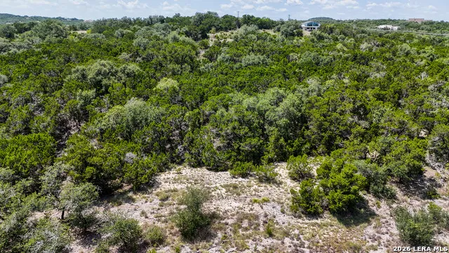 988 EARLE OAK AVE Bulverde, TX 78163