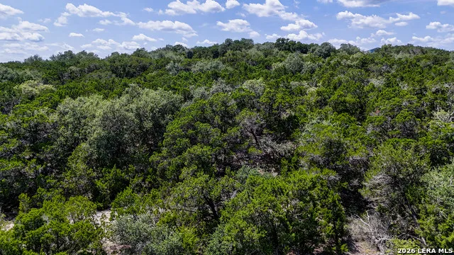 988 EARLE OAK AVE Bulverde, TX 78163