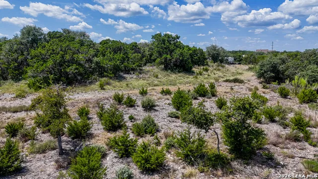 988 EARLE OAK AVE Bulverde, TX 78163