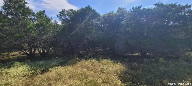 5190 Spring Branch Spring Branch, TX 78070