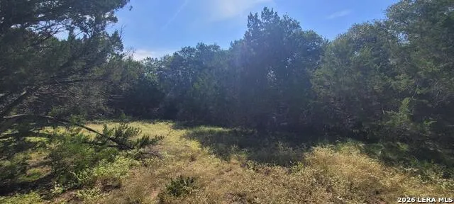 5190 Spring Branch Spring Branch, TX 78070