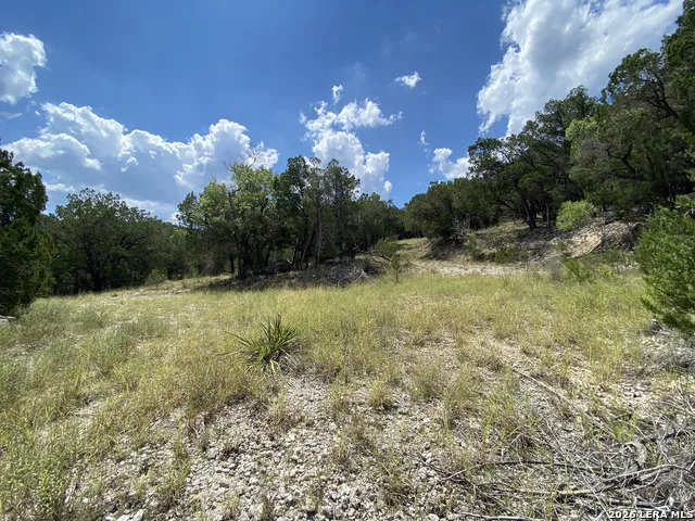 19201 W REED PARKS RD Jonestown, TX 78645