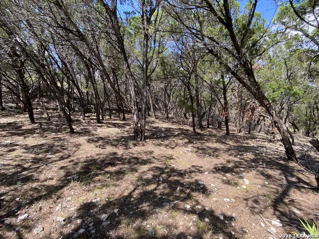 19201 W REED PARKS RD Jonestown, TX 78645