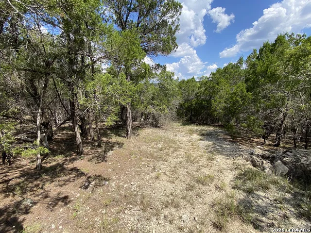 19201 W REED PARKS RD Jonestown, TX 78645