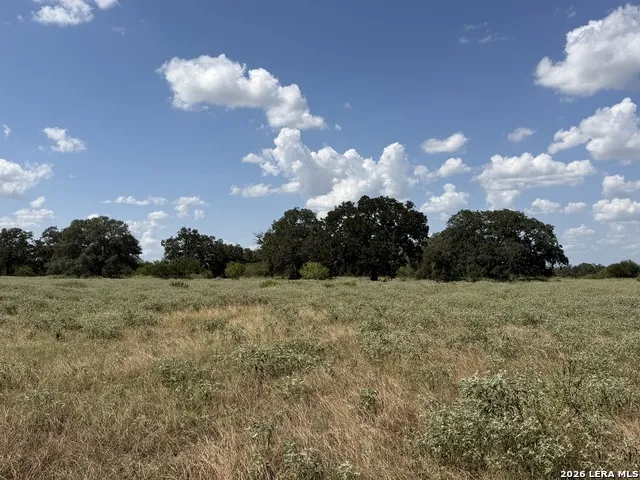 3432 FM 3432 Adkins, TX 78101