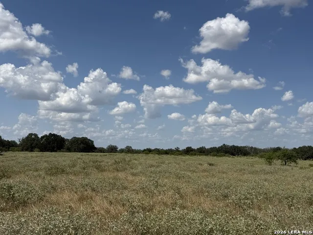 3432 FM 3432 Adkins, TX 78101