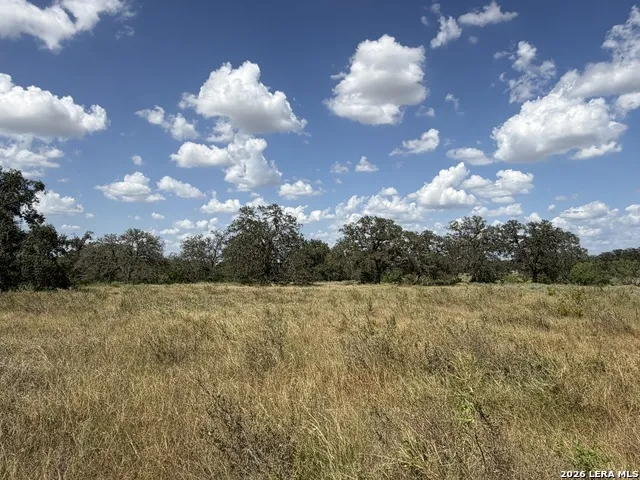 3432 FM 3432 Adkins, TX 78101