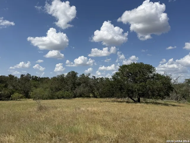 3432 FM 3432 Adkins, TX 78101
