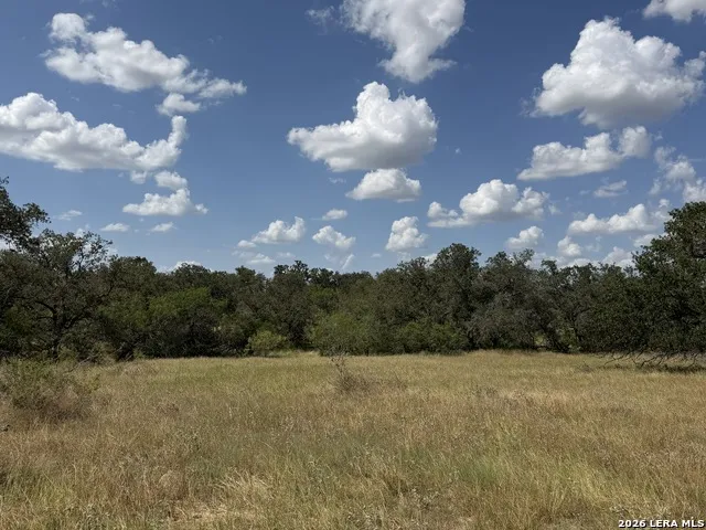 3432 FM 3432 Adkins, TX 78101