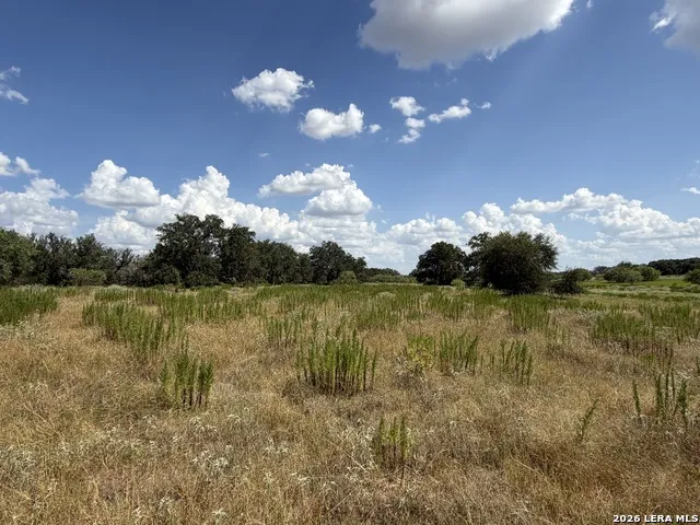 3432 FM 3432 Adkins, TX 78101