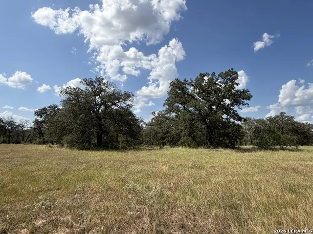 3432 FM 3432 Adkins, TX 78101