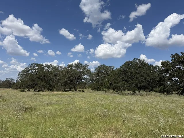 3432 FM 3432 Adkins, TX 78101