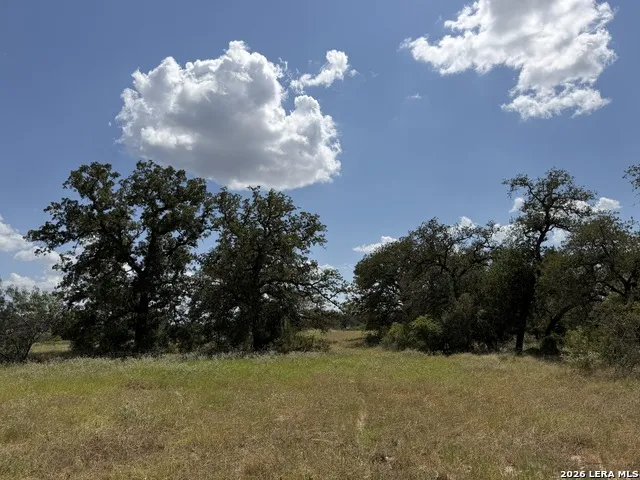 3432 FM 3432 Adkins, TX 78101