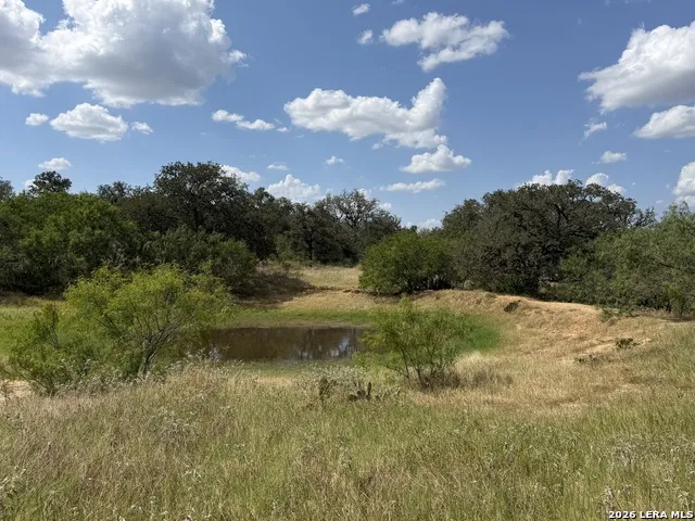 3432 FM 3432 Adkins, TX 78101
