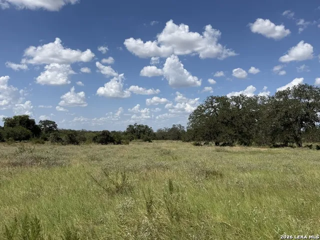 3432 FM 3432 Adkins, TX 78101