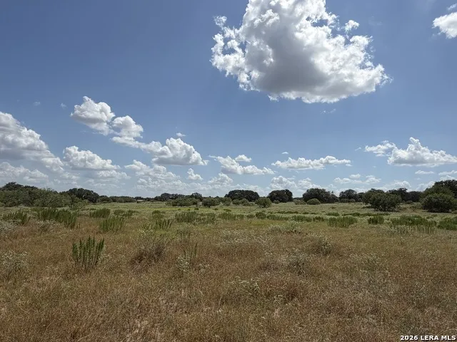 3432 FM 3432 Adkins, TX 78101