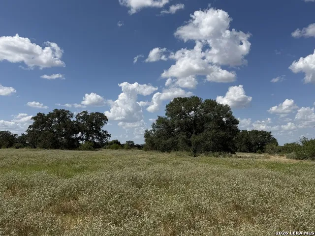 3432 FM 3432 Adkins, TX 78101