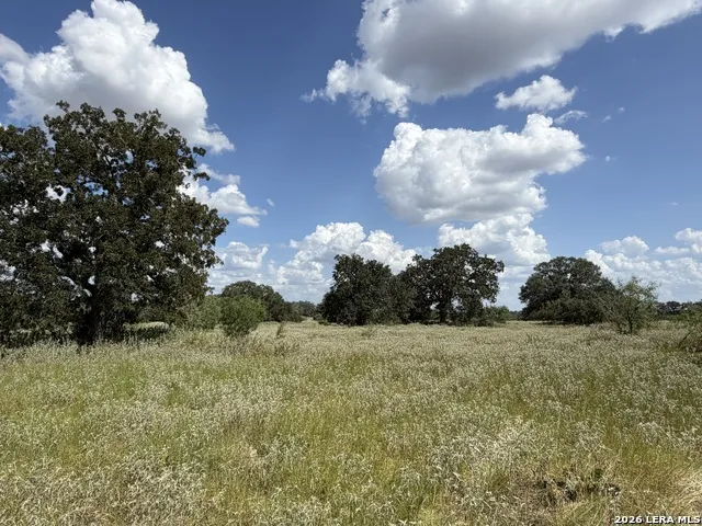 3432 FM 3432 Adkins, TX 78101