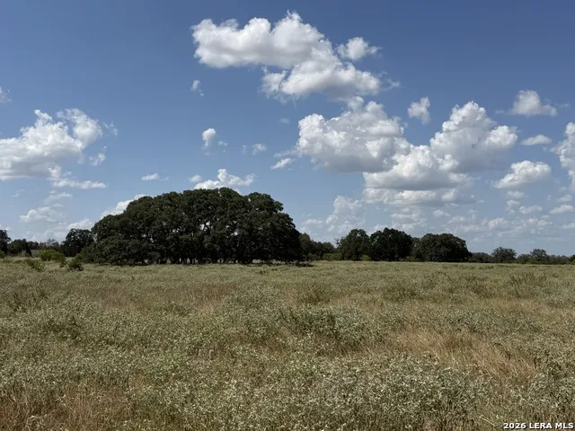 3432 FM 3432 Adkins, TX 78101