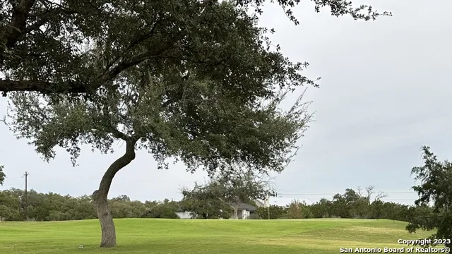 527 S Calvin Barrett Blanco, TX 78606