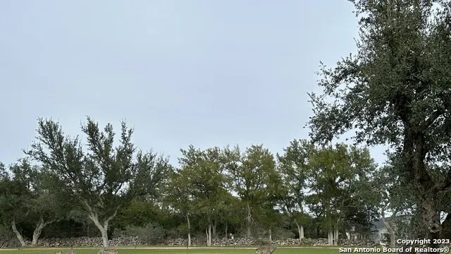 527 S Calvin Barrett Blanco, TX 78606