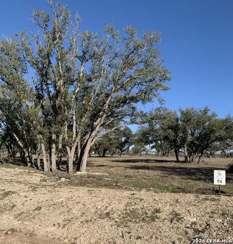 LOT 78 Stock Pond Dr. Harper, TX 78631