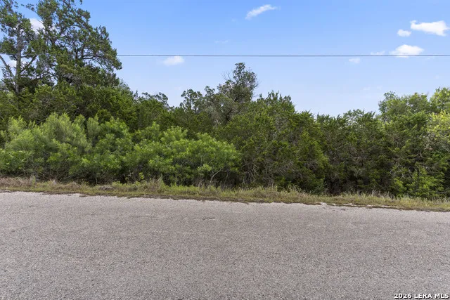204 Freedom Fischer, TX 78623