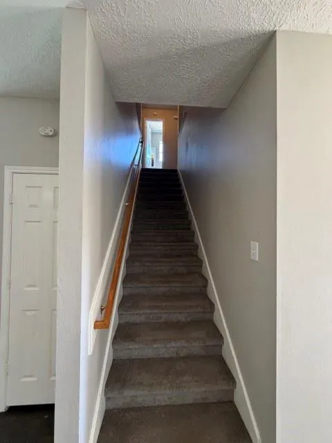 22018 Willow Shadows Tomball, TX 77375