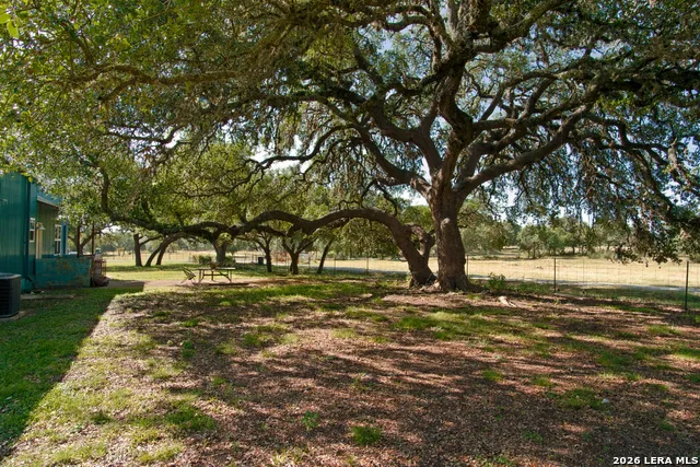1282 Kendalia Rd Blanco, TX 78606