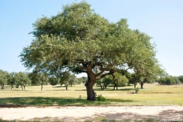1282 Kendalia Rd Blanco, TX 78606
