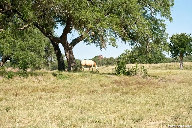 1282 Kendalia Rd Blanco, TX 78606