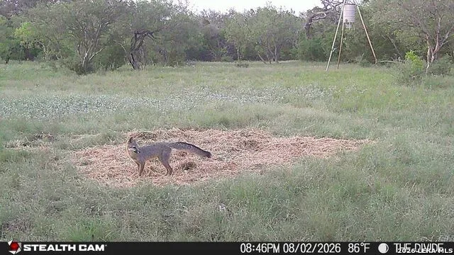 33309 Texas 55 Uvalde, TX 78801