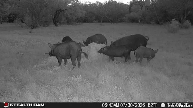 33309 Texas 55 Uvalde, TX 78801