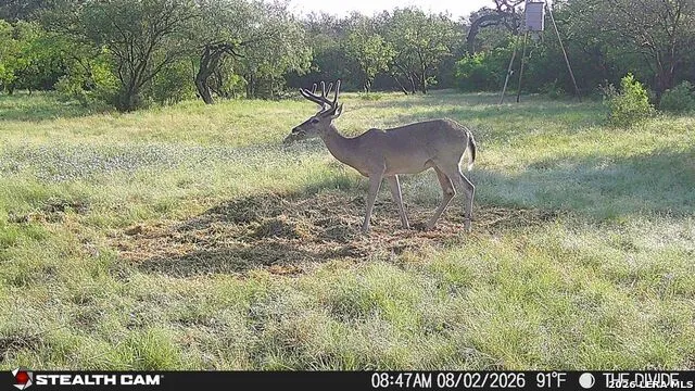 33309 Texas 55 Uvalde, TX 78801