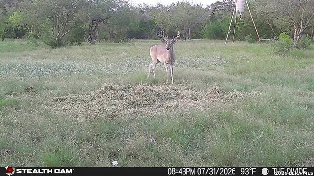 33309 Texas 55 Uvalde, TX 78801