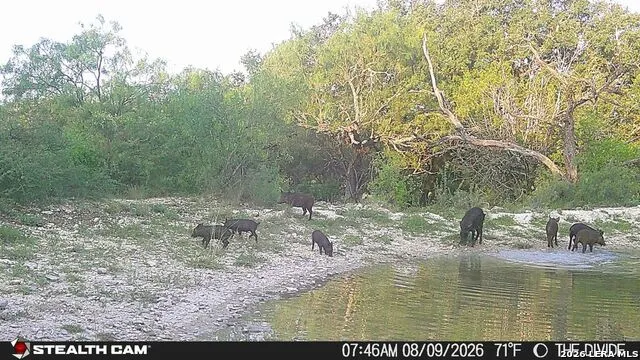 33309 Texas 55 Uvalde, TX 78801