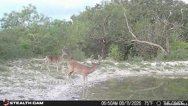 33309 Texas 55 Uvalde, TX 78801