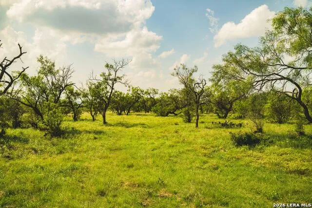 33309 Texas 55 Uvalde, TX 78801