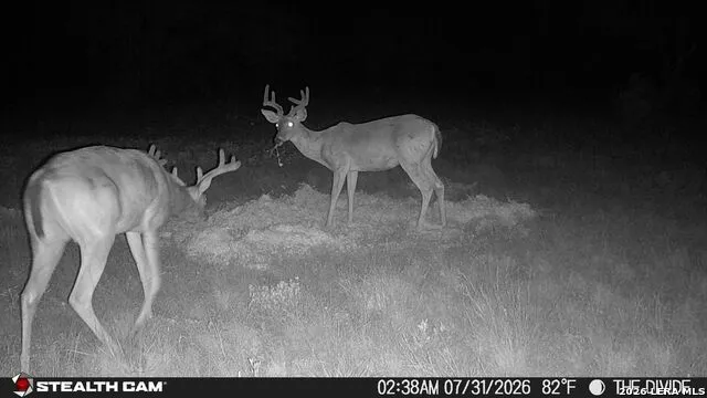 33309 Texas 55 Uvalde, TX 78801