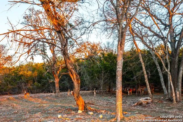 327 Waring Welfare Road Boerne, TX 78006