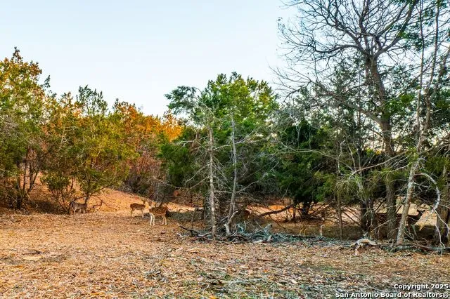 327 Waring Welfare Road Boerne, TX 78006