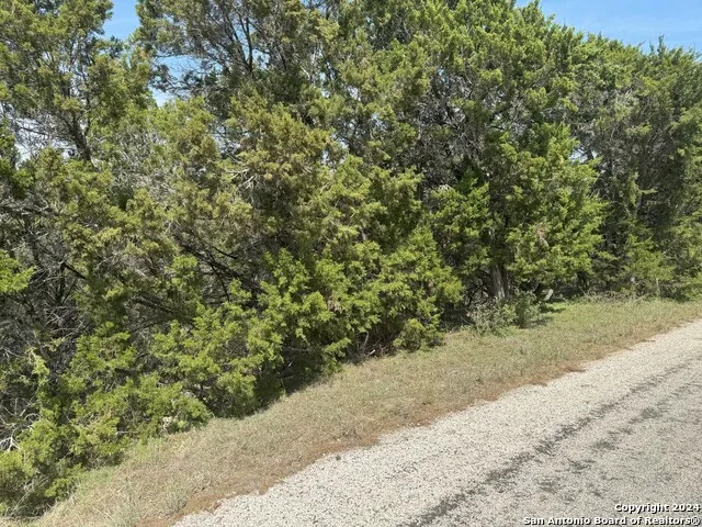 397 CEDAR DR Canyon Lake, TX 78133