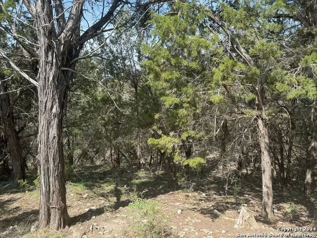 397 CEDAR DR Canyon Lake, TX 78133