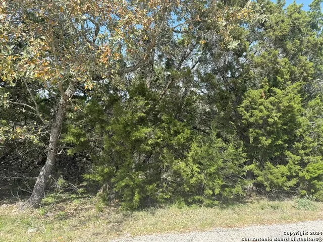 397 CEDAR DR Canyon Lake, TX 78133