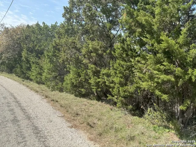 397 CEDAR DR Canyon Lake, TX 78133