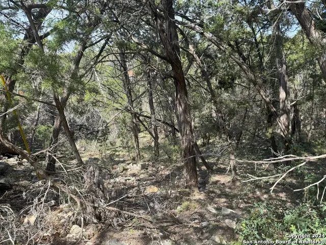 397 CEDAR DR Canyon Lake, TX 78133