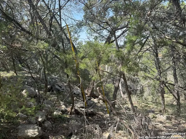 397 CEDAR DR Canyon Lake, TX 78133
