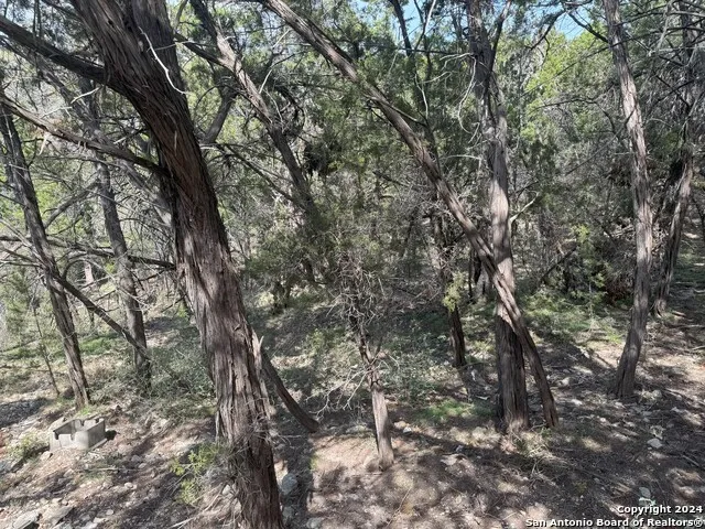 397 CEDAR DR Canyon Lake, TX 78133