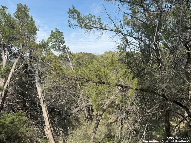 397 CEDAR DR Canyon Lake, TX 78133
