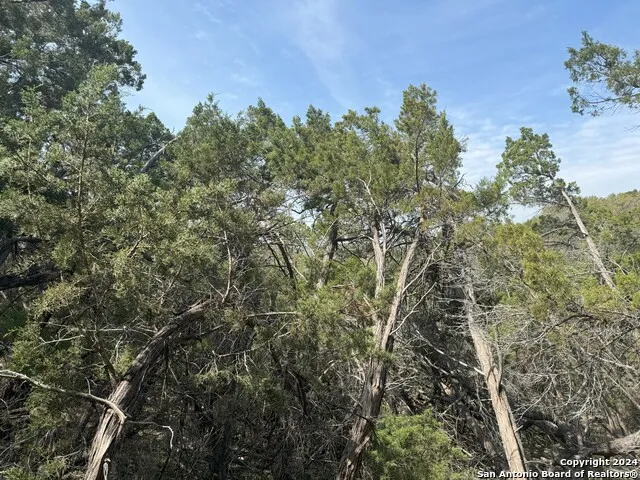 397 CEDAR DR Canyon Lake, TX 78133